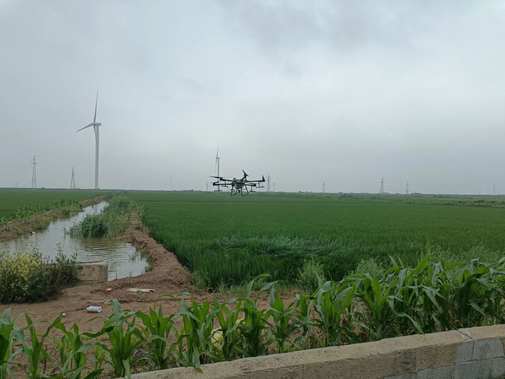 6468BEB819A0AD6299737AA7E832BEF3.jpg 6468BEB819A0AD6299737AA7E832BEF3.jpg